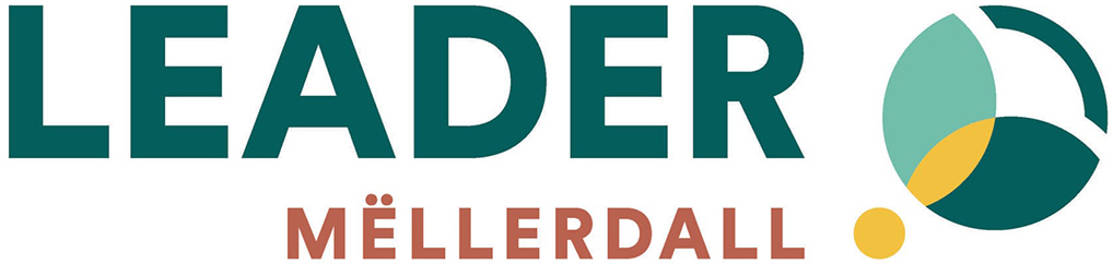 LEADER_MELLERDALL_LOGO_CMJN-1